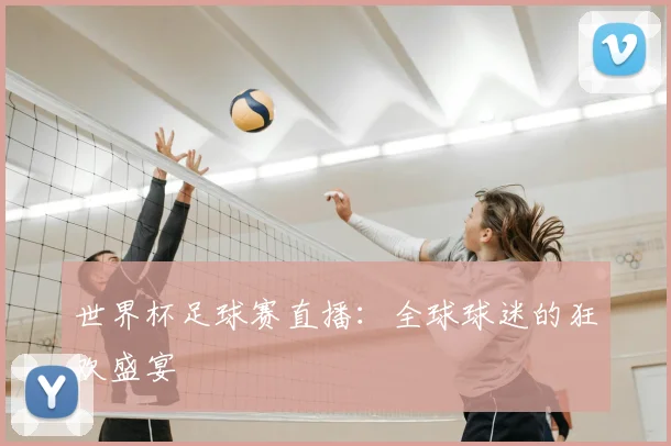 世界杯足球赛直播：全球球迷的狂欢盛宴