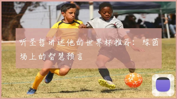 听圣哲讲述他的世界杯推荐：绿茵场上的智慧预言