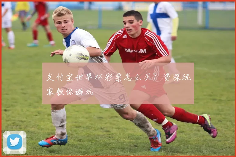 支付宝世界杯彩票怎么买?资深玩家教你避坑