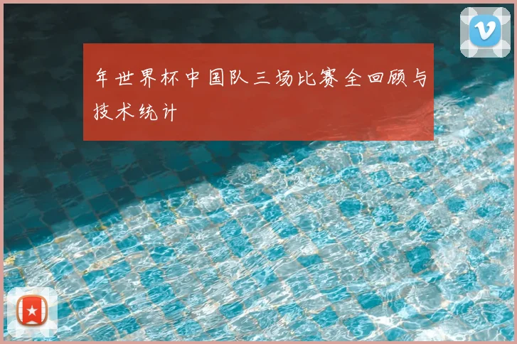 年世界杯中国队三场比赛全回顾与技术统计