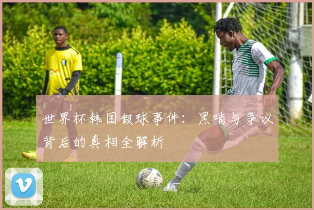 世界杯韩国假球事件：黑哨与争议背后的真相全解析